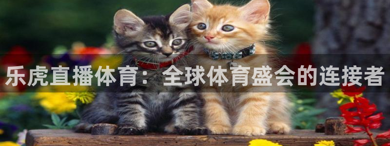 乐虎直播体育：全球体育盛会的连接者
