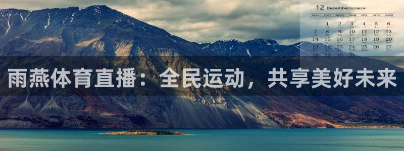雨燕体育直播：全民运动，共享美好未来